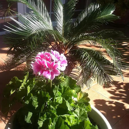 Apartment Gold & Gray Zadar