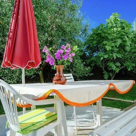 Apartment Gold & Gray *