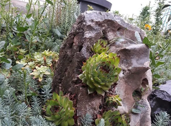 Gold & Gray Apartmán Zadar