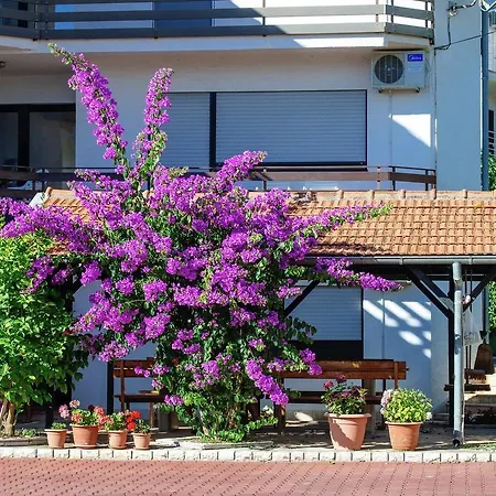 Apartment Denis * Zadar