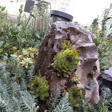 Gold & Gray Appartement Zadar