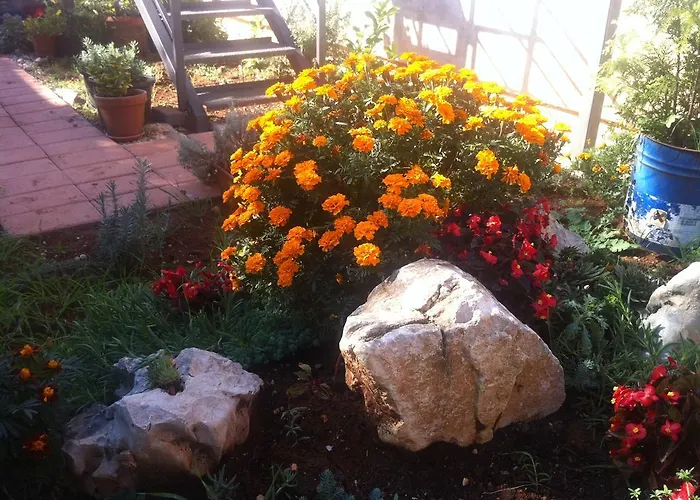 Gold & Gray شقة *